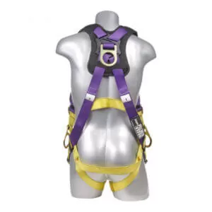 Full Body Harness